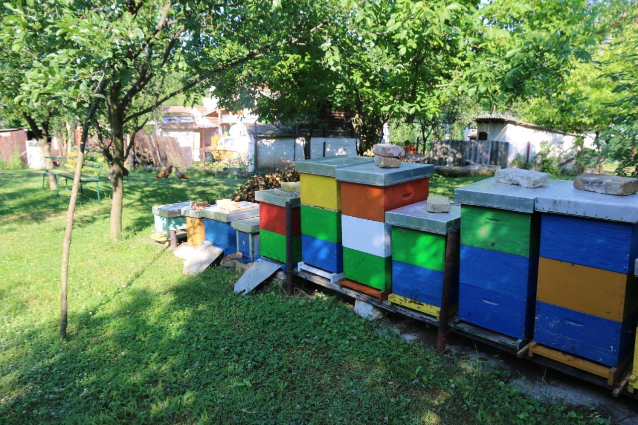 Apartman Rudnik Vrdnik Exterior photo
